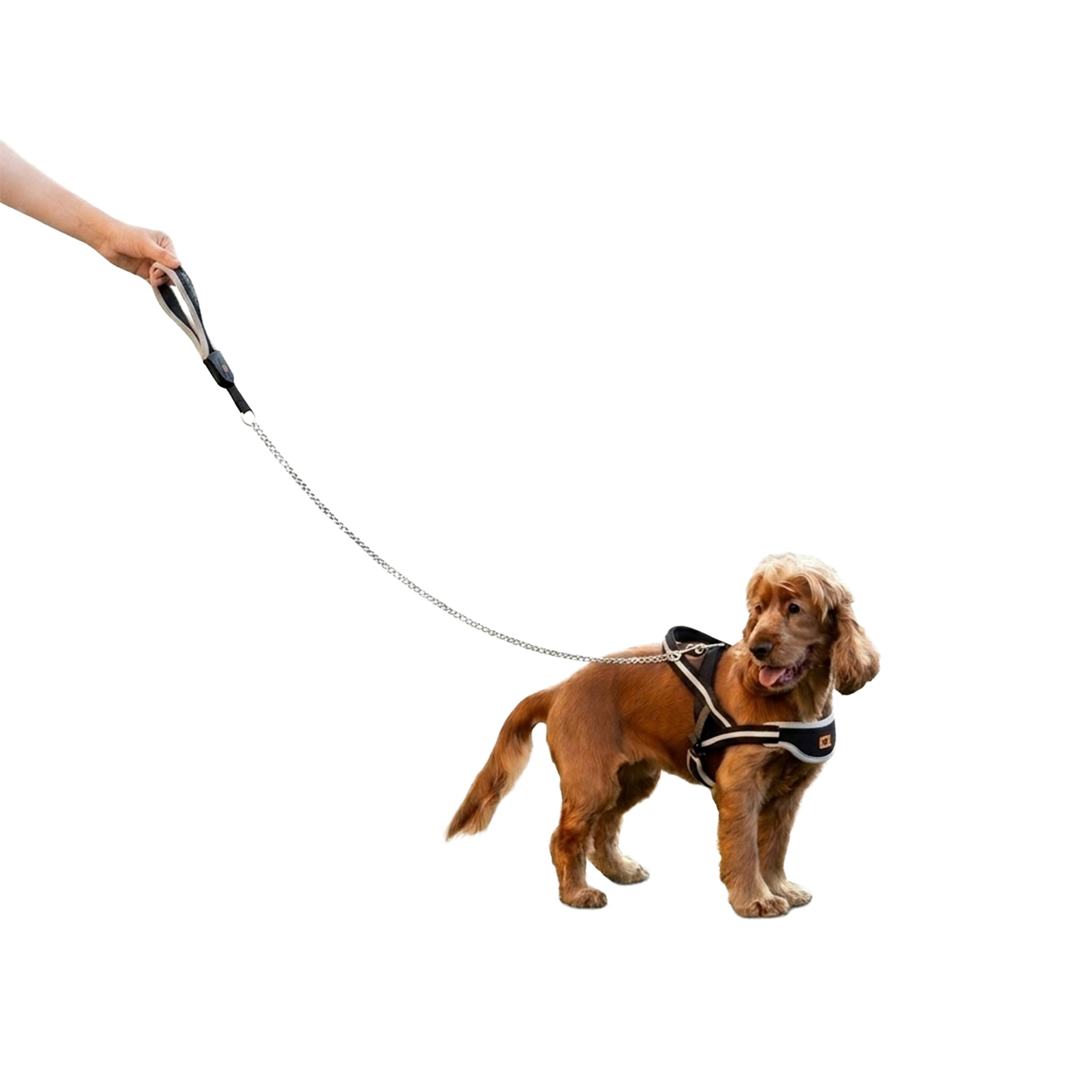 Ferplast - Laisse pour chien en métal anti-morsure Ferplast ERGOCOMFORT METAL, Poignée ergonomique, Rembourrage doux, Longueur 105 cm. - Image 4