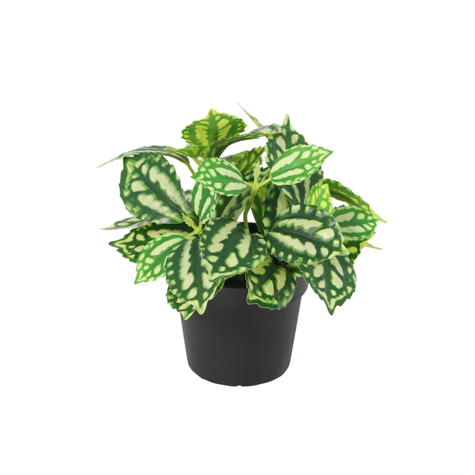 Fleur de glace - 8cm - Ø9cm - Plante artificielle - Image 1