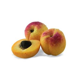 Abricotier nain Petit' Abri® - Nains de jardin® - Bon rendement - Pot de 4.5L - 30/60 cm - De 1,50 m à 2,00 m
