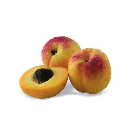 Abricotier nain Petit' Abri® - Nains de jardin® - Bon rendement - Pot de 4.5L - 30/60 cm - De 1,50 m à 2,00 m - Image 1