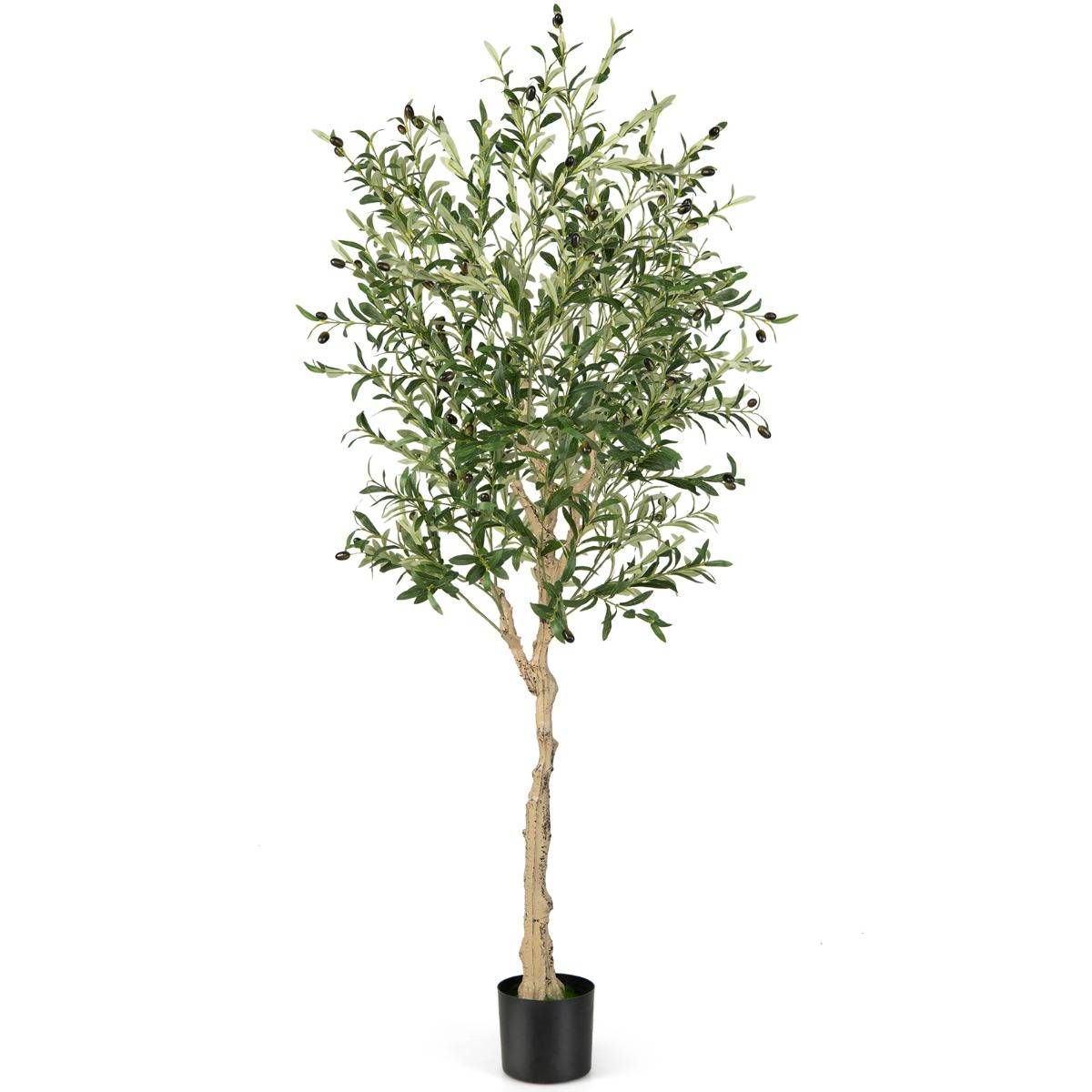 Plantes Artificielles Fausse Olivier en Pot H-182 cm Feuilles en Soie Décoration pour Intérieur/Extérieur - Image 5
