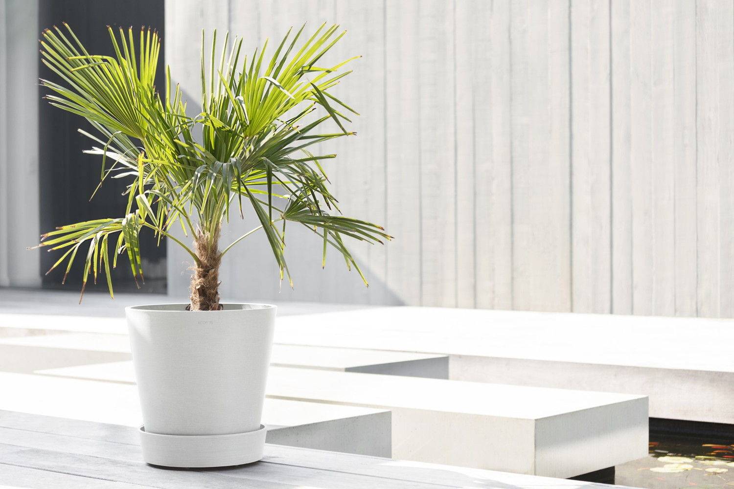 Ecopots - Support à roulettes Wheels 40 Blanc Pur - Ø 34,1 x H. 9 cm ECOPOTS - Image 2