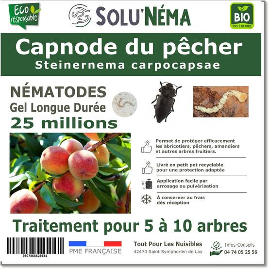 Tout pour les nuisibles - SoluNéma - CAPNODE DU PECHER - 25 MILLIONS NÉMATODES Steinernema Carpocapsae (SC) - Image 1