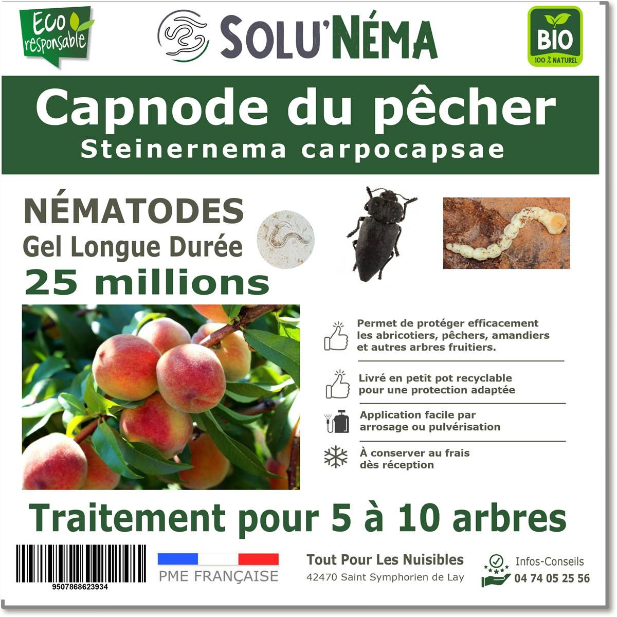 Tout pour les nuisibles - SoluNéma - CAPNODE DU PECHER - 25 MILLIONS NÉMATODES Steinernema Carpocapsae (SC) - Image 1