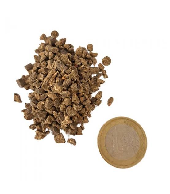 Engrais Flori Or KZ 20 kg améliore l'absorption des nutriments, pour sol scarifié - Florivert NEG01887 - Image 2