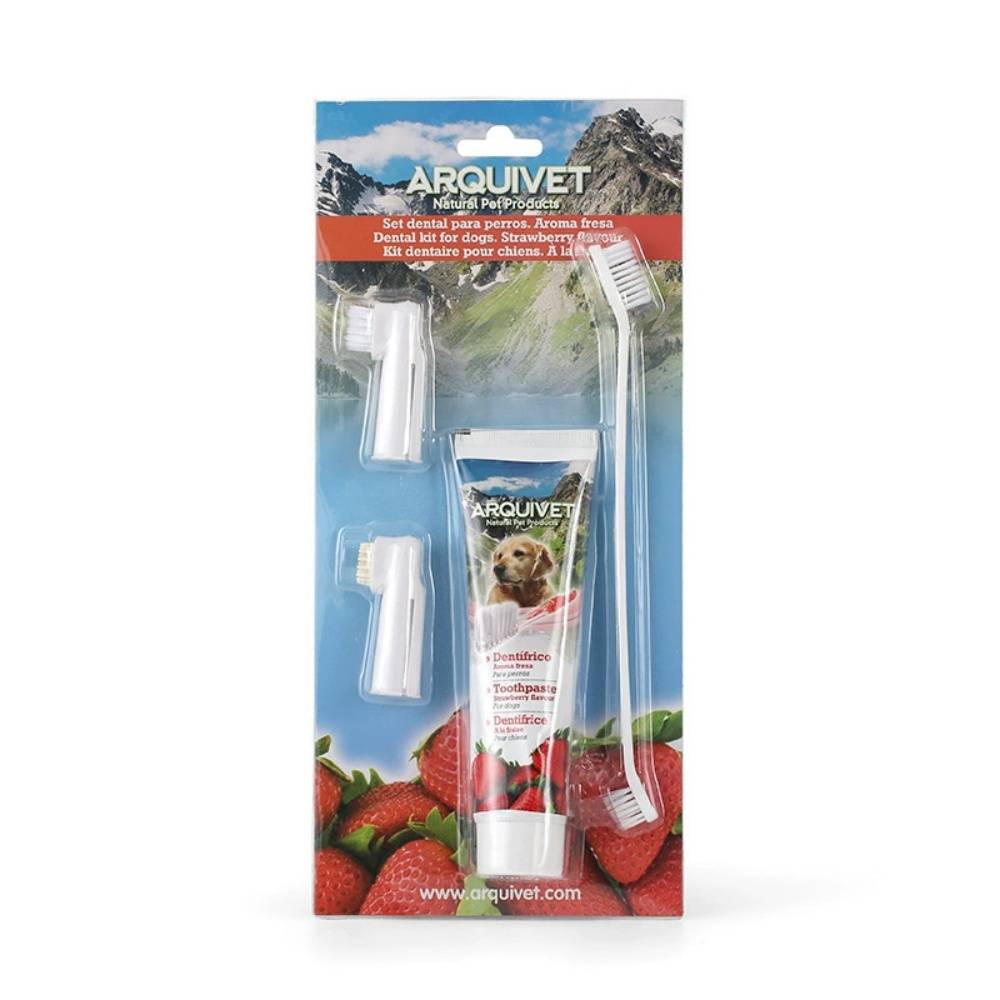 IntiMeg - Ensemble de brosses à dents pour chien Saveur fraise IntiMeg - Image 3