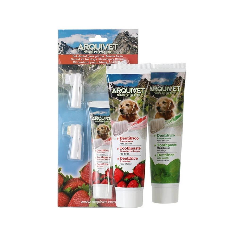 IntiMeg - Ensemble de brosses à dents pour chien Saveur fraise IntiMeg - Image 4