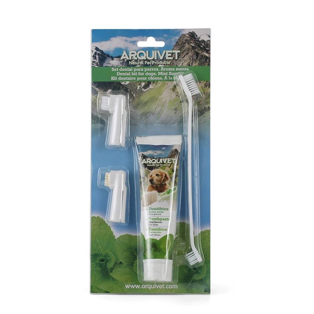 IntiMeg - Ensemble de brosses à dents pour chien Saveur fraise IntiMeg - Image 2