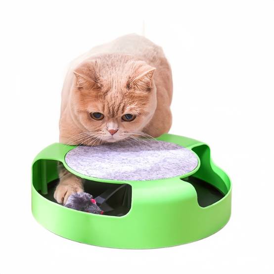 Jouet interactif pour chat - Souris rotative + 4 spirales - Stimulation sans piles - Living123 - Image 1