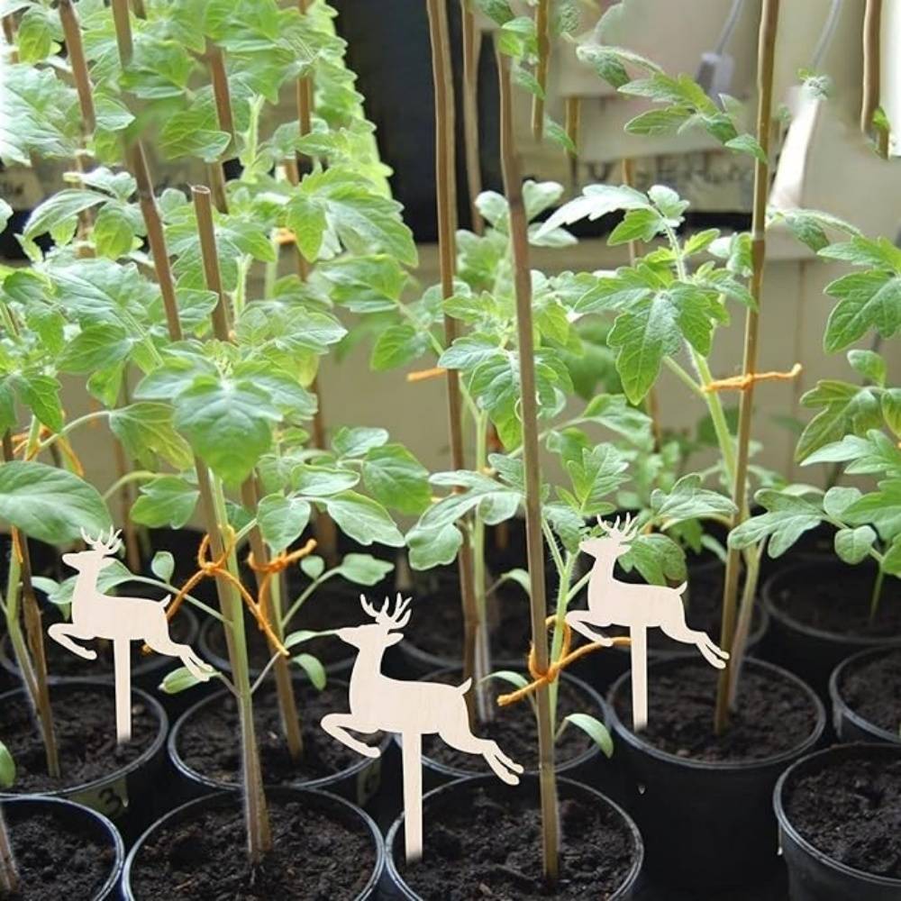 DtopbuyAge - 30 Pièces Étiquettes En Bois Pour Plantes Jardinage DtopbuyAge - Image 3