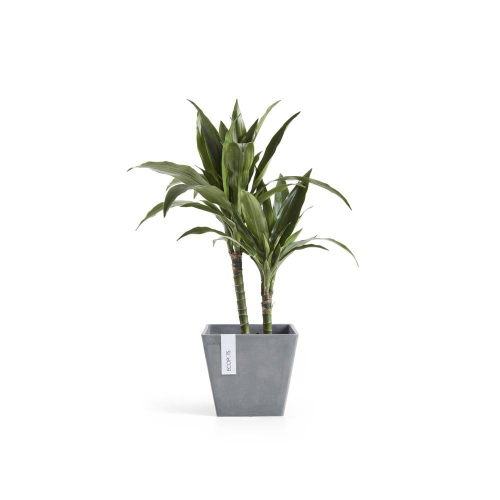 Ecopots - Pot Carré Rotterdam 20 Bleu Gris - 20 x 20 x H. 17,5 cm - 5,2 L ECOPOTS - Image 3
