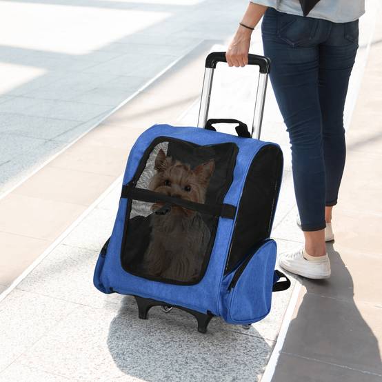 Sac à dos trolley chien chat Oxford voyage aération poignée télescopique bleu 55cm - ComfortXL Outdoor Living - Image 4