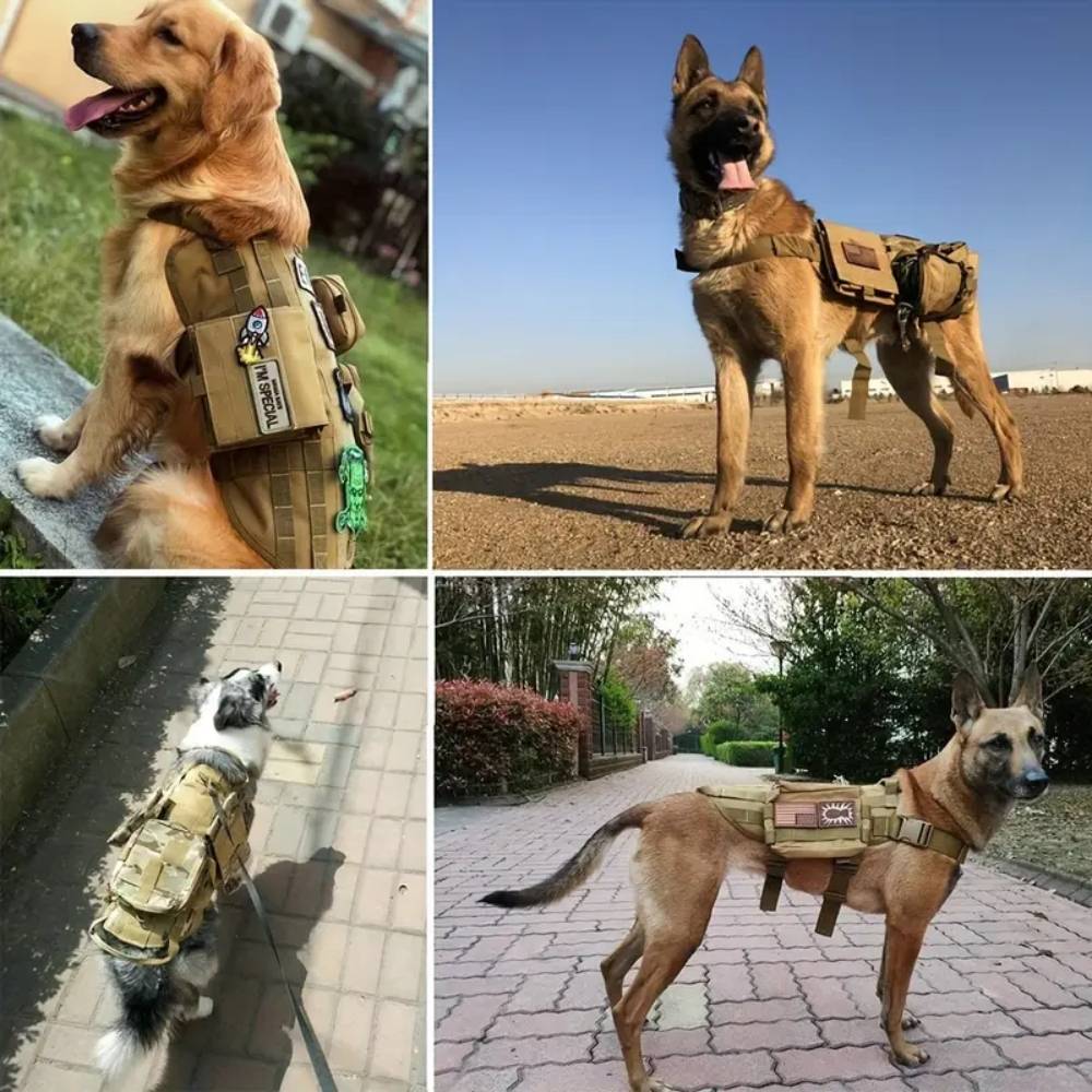 Harnais tactique pour chien xl - IntiMeg - Image 5