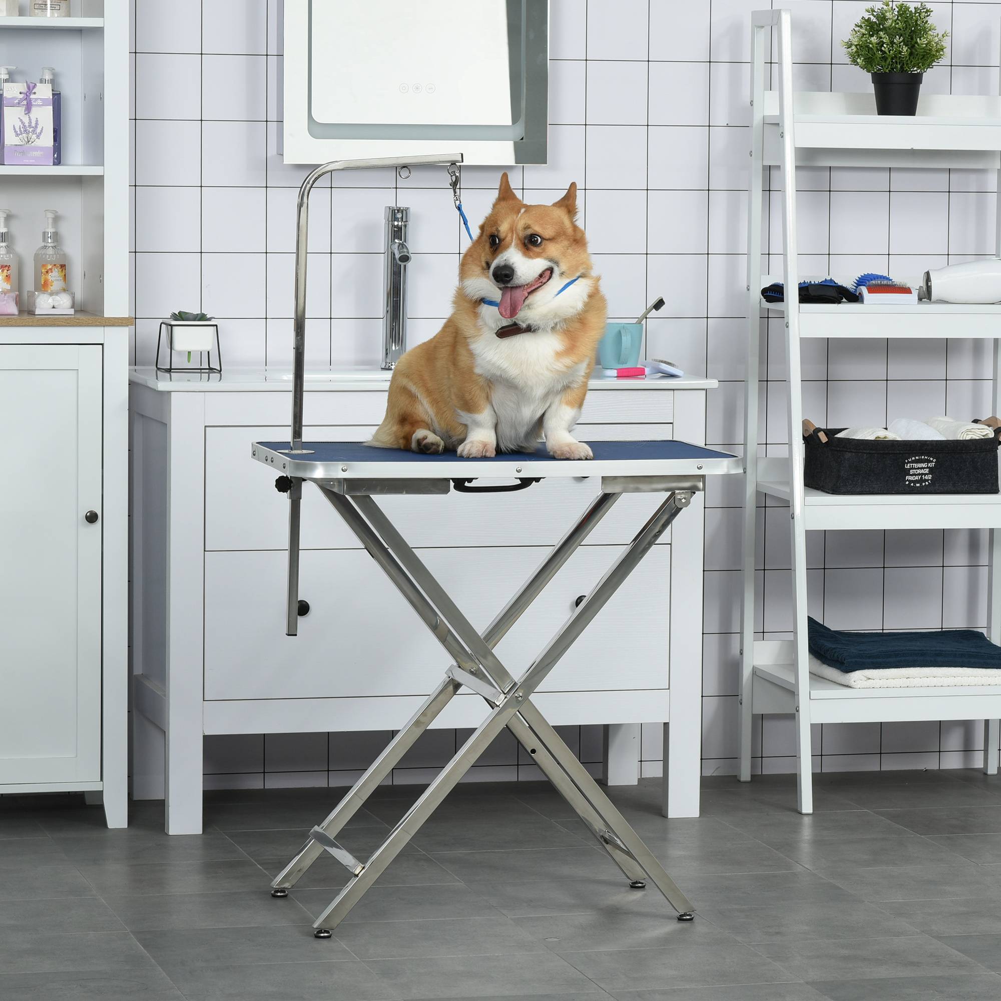 ComfortXL - Table de toilettage chien acier 72x45x74-81 cm bleu pliable antidérapante avec bras - ComfortXL Outdoor Living - Image 3