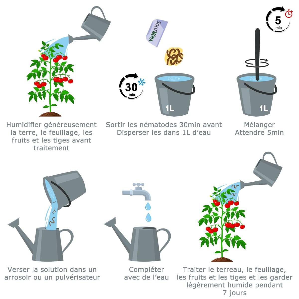 Solunéma - Mineuse de la tomate - Traitement à base de nématodes Steinernema Feltiae (SF) - 25 millions pour environ 50 m² - Image 3