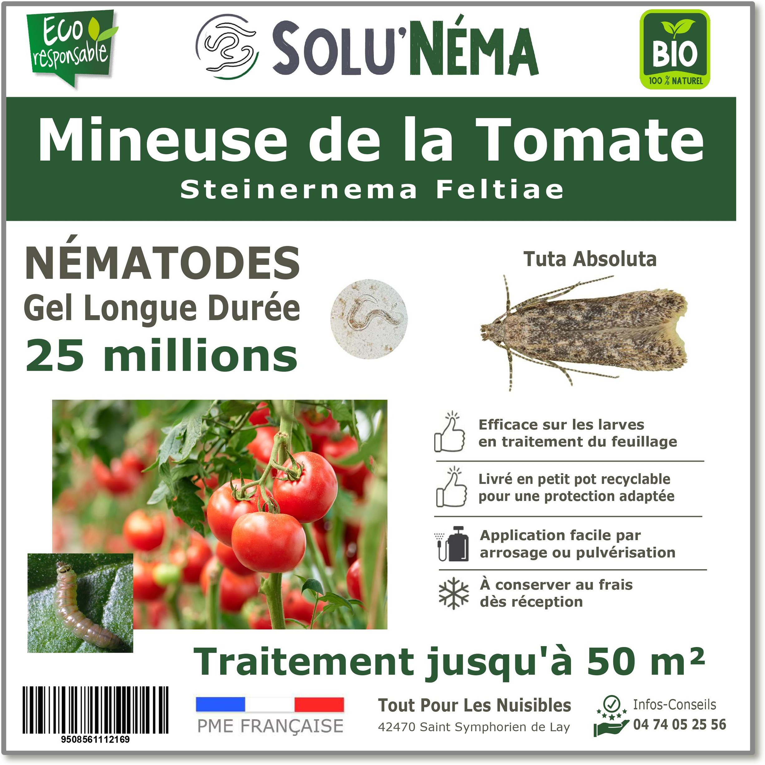 Solunéma - Mineuse de la tomate - Traitement à base de nématodes Steinernema Feltiae (SF) - 25 millions pour environ 50 m² - Image 1