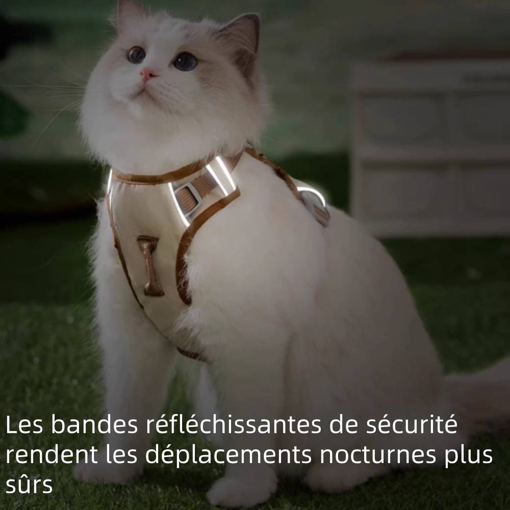 Collier à pointes pour chien et chat l - IntiMeg - Image 4