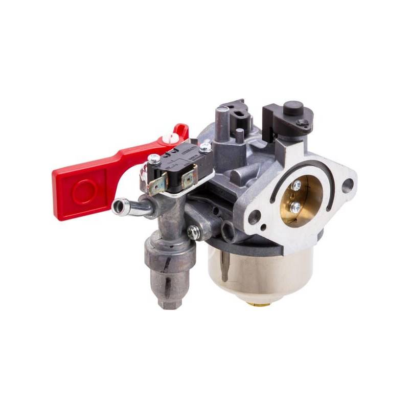 Briggs & Stratton - Carburateur Briggs et Stratton - 84003204 - Image 1