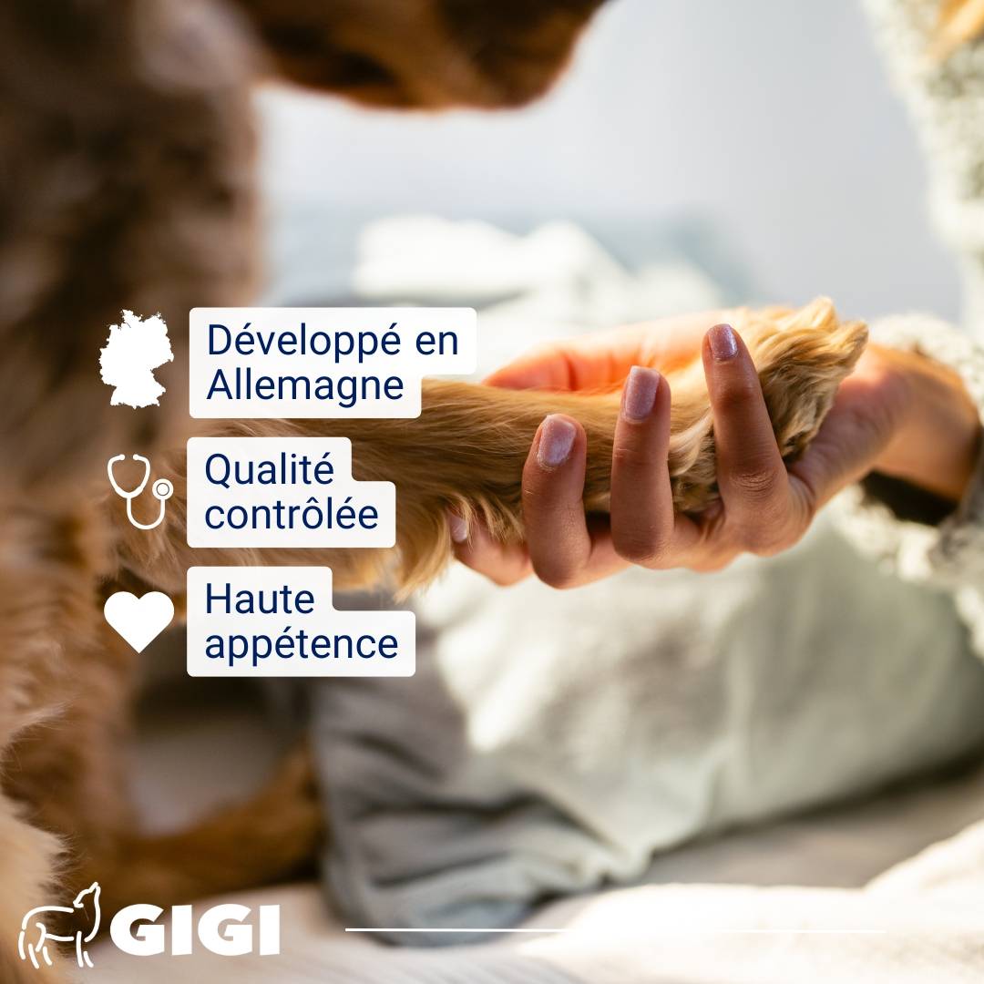 Oméga 3 & Calcium Naturel 21 capsules GIGI VET - Image 6