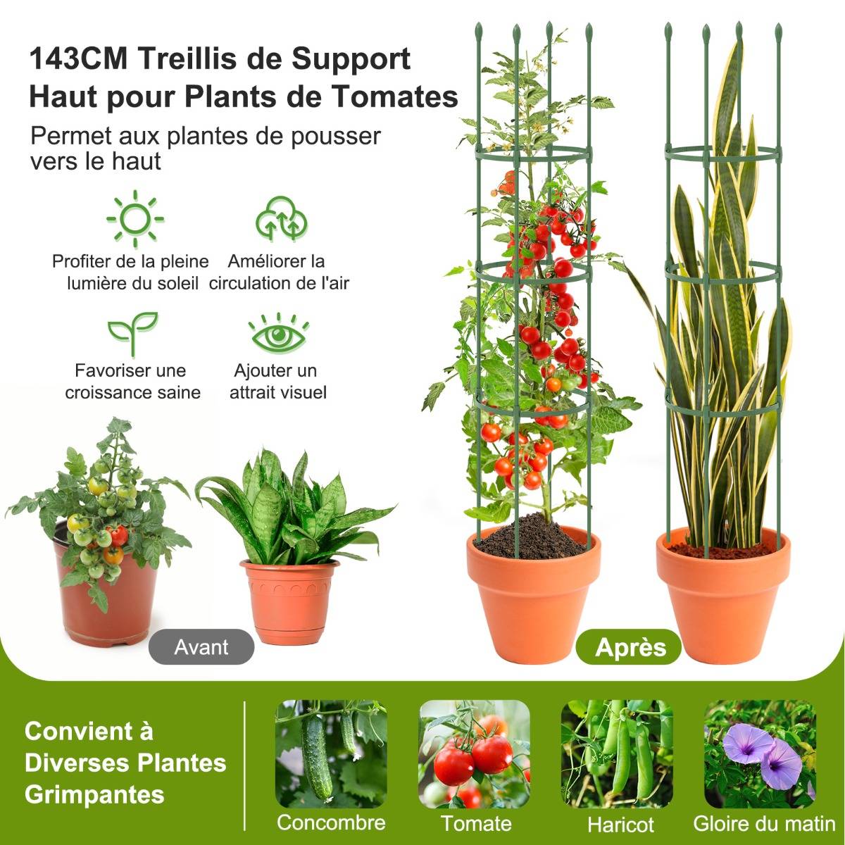 14 Pièces Support Treillis Plantes Grimpantes - Tuteurs Jardin En Plastique Pour Vignes, Tomates, Fleurs Et Légumes