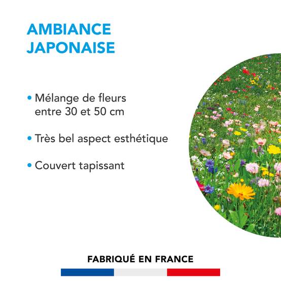 Pelouse Ambiance Japonaise - Mélange de Fleurs entre 30 et 50 cm - Très Bel Aspect Esthétique - Couvert Tapissant - 500G - BARENBRUG - Image 2