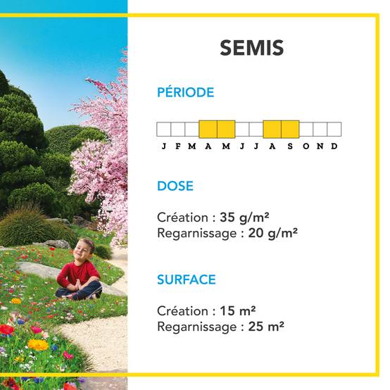Pelouse Ambiance Japonaise - Mélange de Fleurs entre 30 et 50 cm - Très Bel Aspect Esthétique - Couvert Tapissant - 500G - BARENBRUG - Image 4