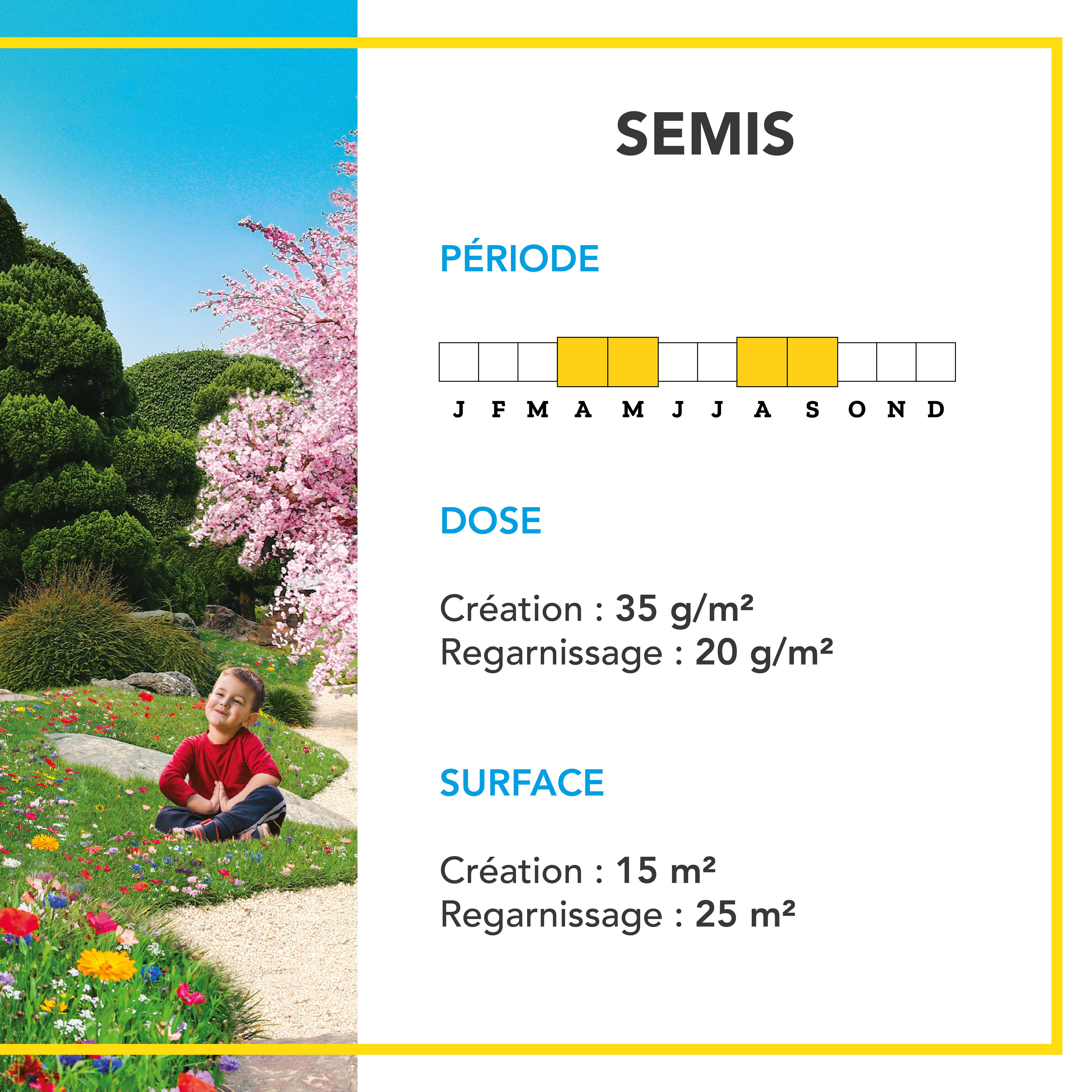 Pelouse Ambiance Japonaise - Mélange de Fleurs entre 30 et 50 cm - Très Bel Aspect Esthétique - Couvert Tapissant - 500G - BARENBRUG - Image 4