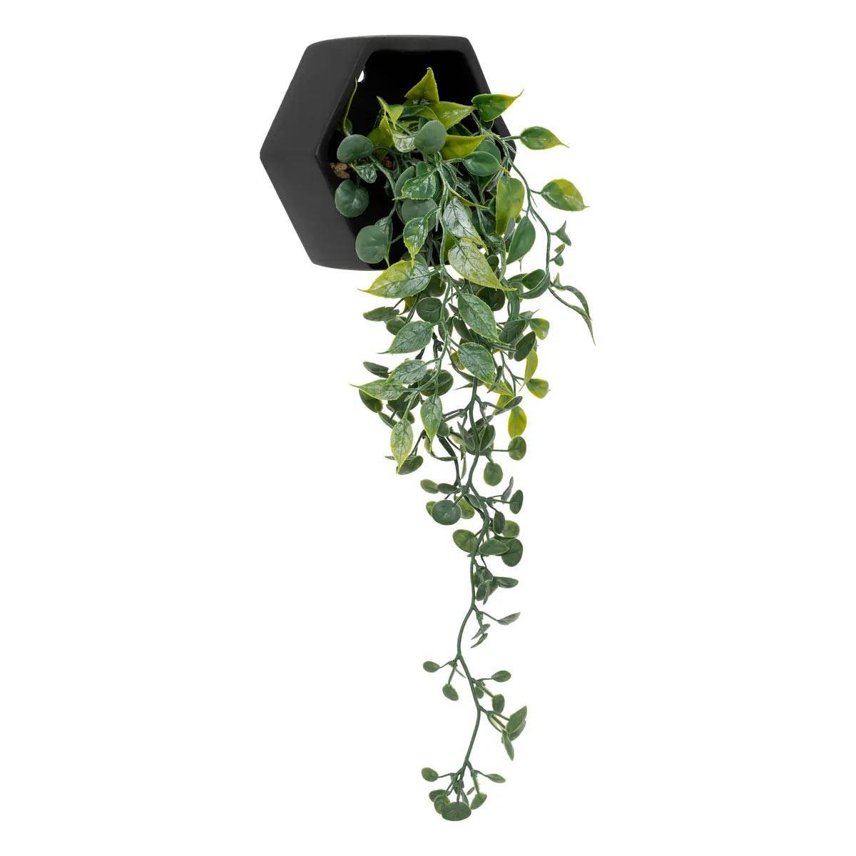 Plante Artificielle à Suspendre "Ayame" 45cm Noir - Image 1