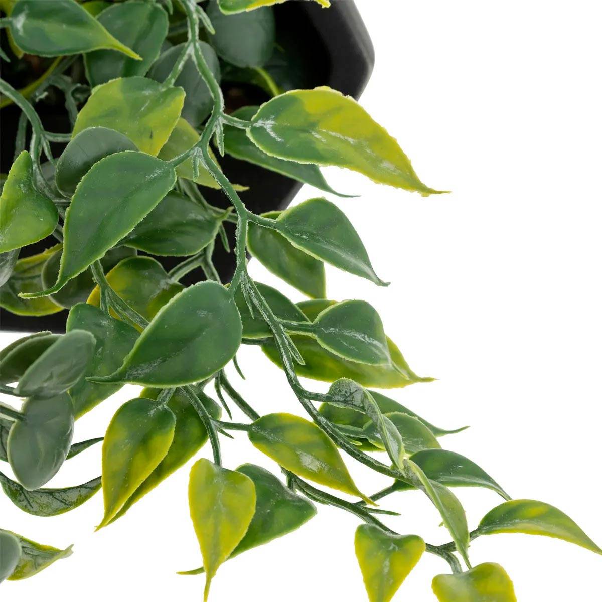 Plante Artificielle à Suspendre "Ayame" 45cm Noir - Image 2