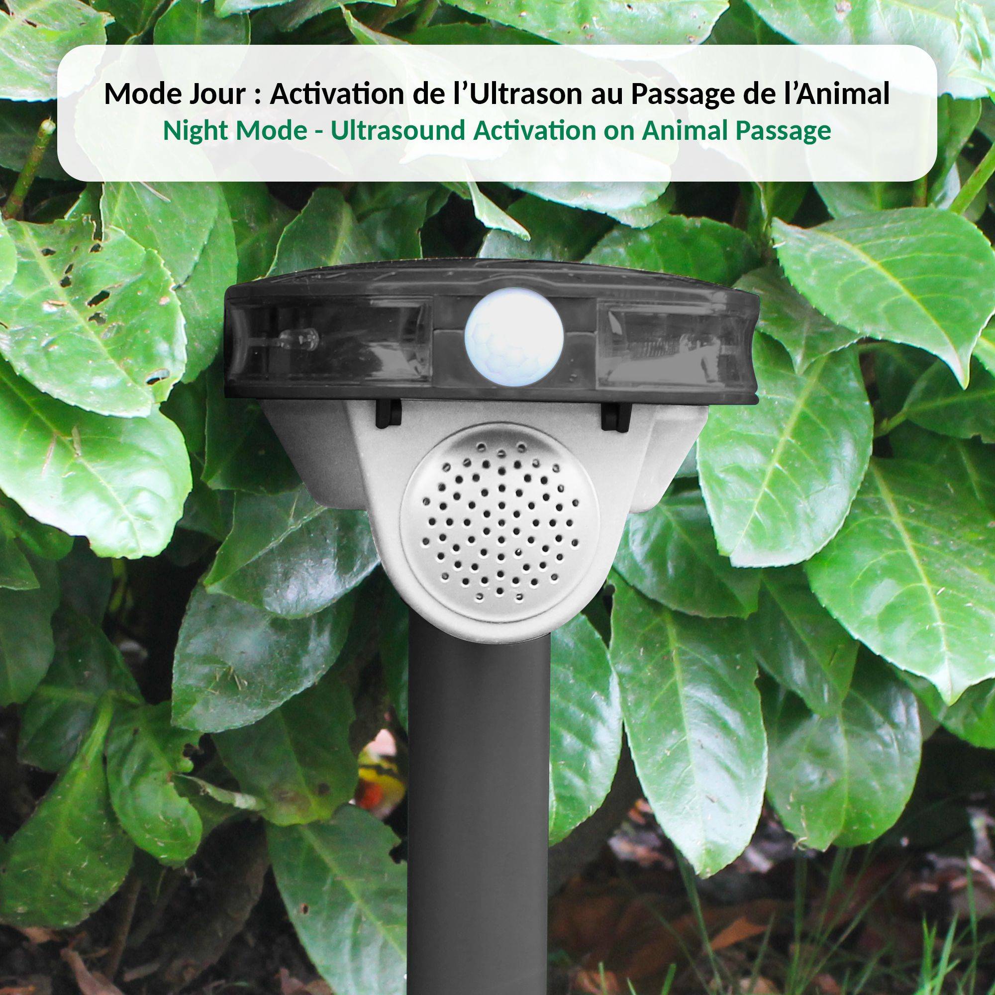 Repulsif Oiseaux Ultrason Gamm Vert