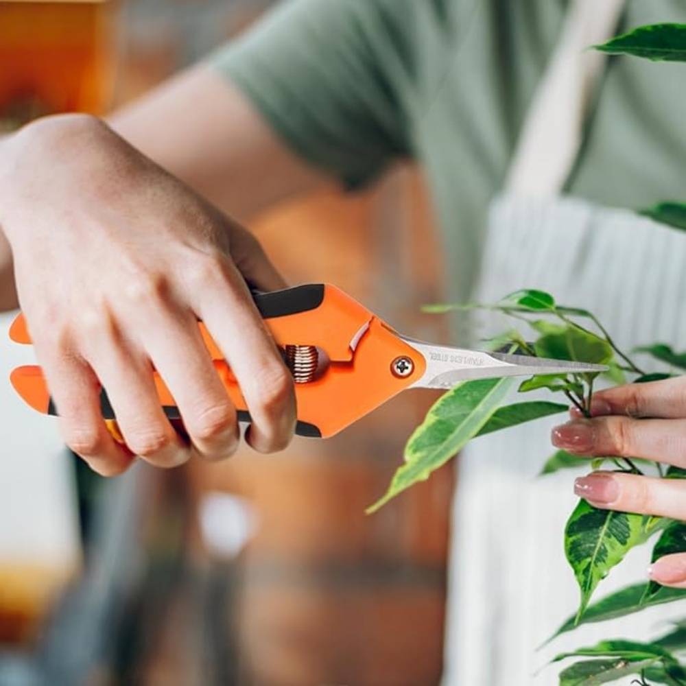 DtopbuyAge - Cisaille Jardin Ciseaux Antidérapants Poignée Verrouillable - Image 2