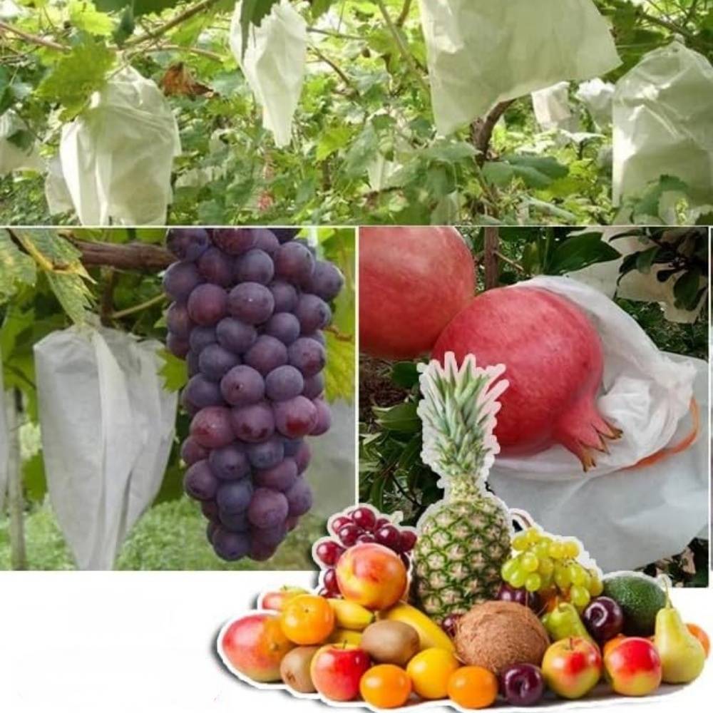 Lytech - Sachets de Protection en Non-Tissé 15x17 cm - Lot de 50 - Anti-Oiseaux et Insectes pour Petits Fruits - Lytech - Image 5