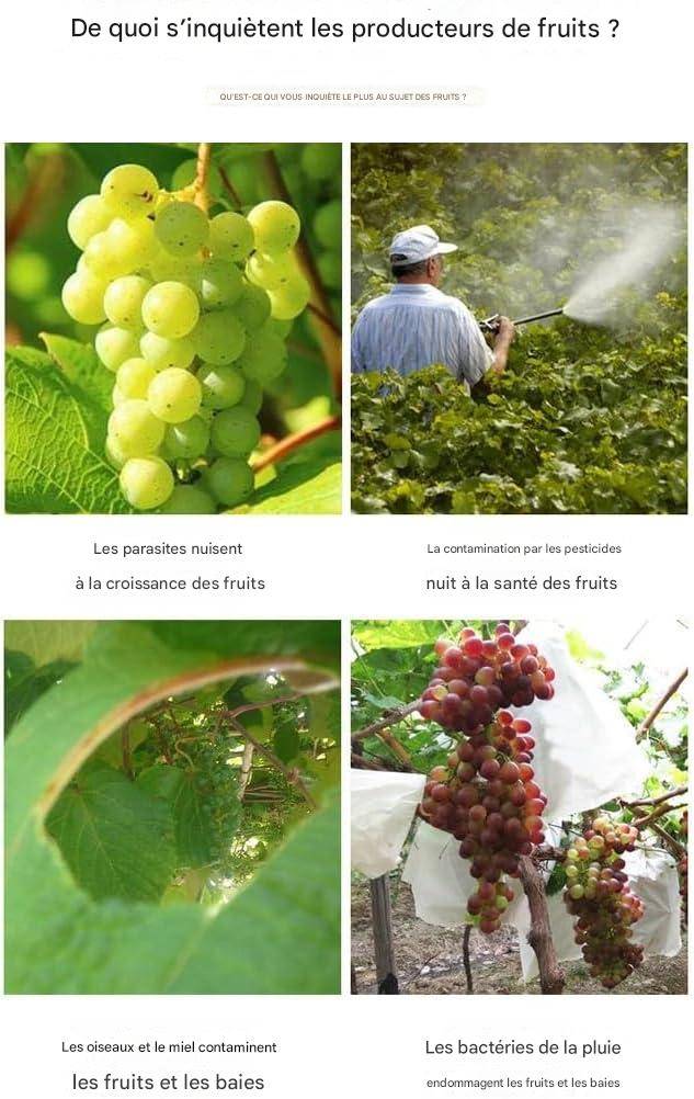 Lytech - Sachets de Protection en Non-Tissé 15x17 cm - Lot de 50 - Anti-Oiseaux et Insectes pour Petits Fruits - Lytech - Image 6