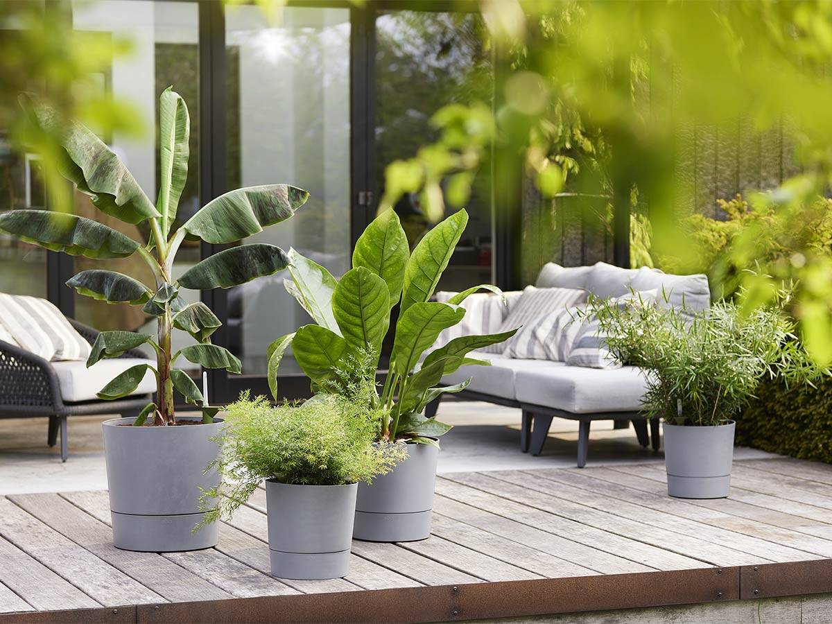 Elho - Elho - Pot De Fleurs - Greensense Aqua Care Rond 43 - Ciment Clair - Intérieur/extérieur - ø 43 X H 42.5 Cm - Image 6