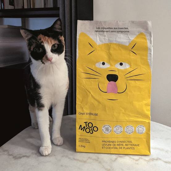 Croquettes pour chat sans céréales adulte 7kg - Tomojo - Image 2