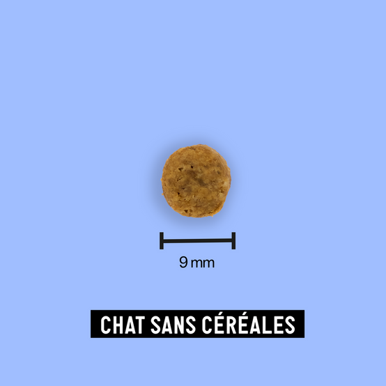 Croquettes pour chat sans céréales adulte 7kg - Tomojo - Image 3