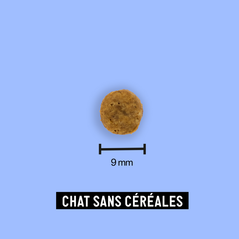 Croquettes pour chat sans céréales adulte 7kg - Tomojo - Image 3