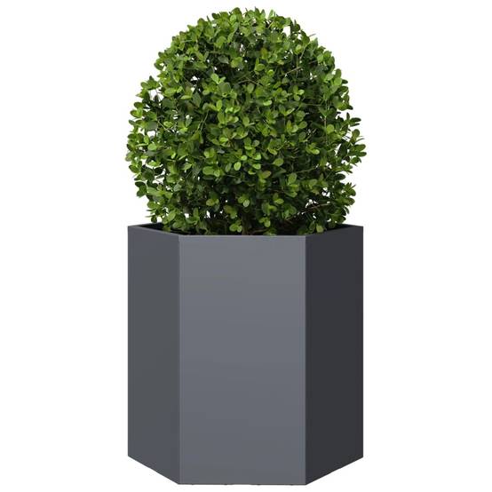 Jardinière acier anthracite hexagone 46 x 40 x 45 cm - PANGIVO - Image 3