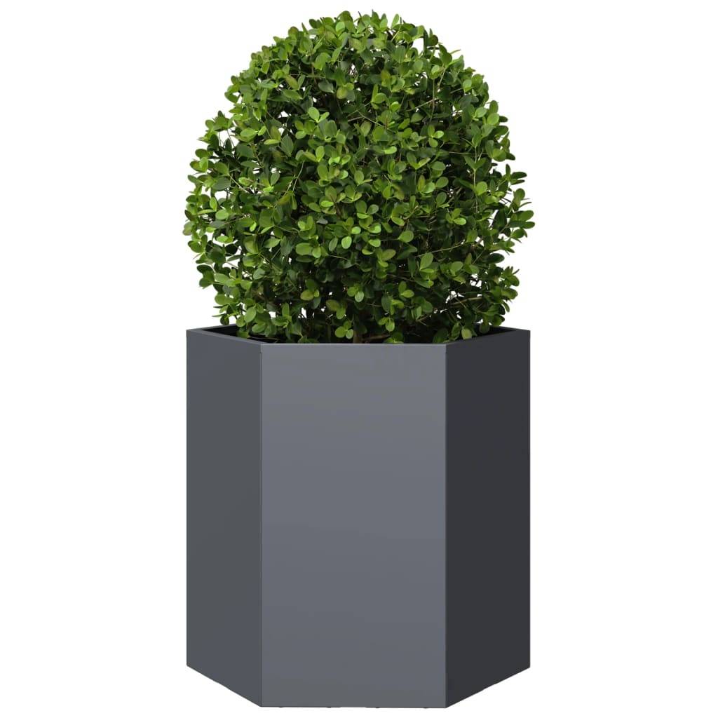 Jardinière acier anthracite hexagone 46 x 40 x 45 cm - PANGIVO - Image 3