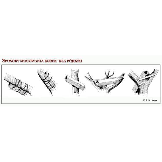 MKW - Nichoir Chevêche d'Athéna - Image 5
