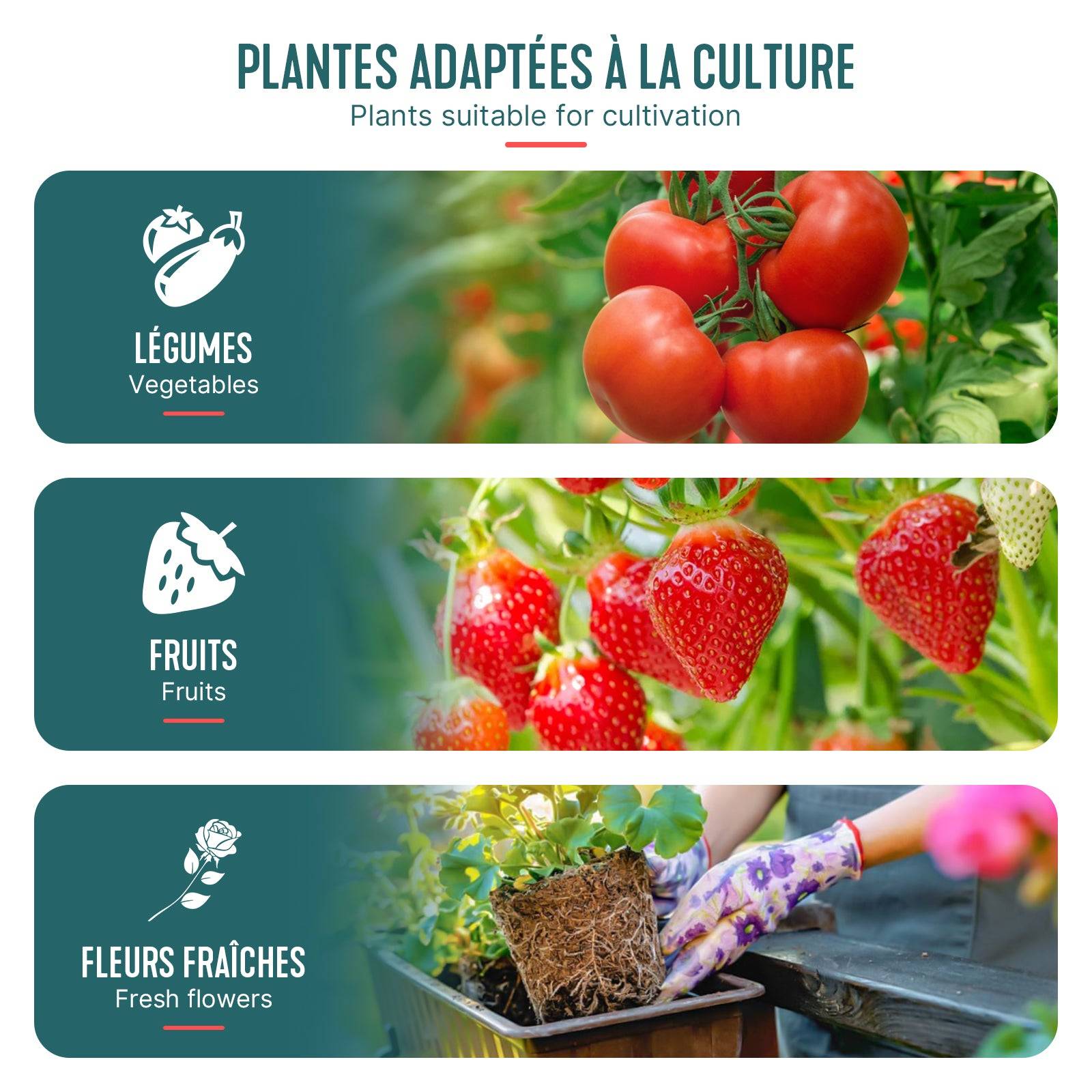 Serre de jardin Serre tomates avec grande porte enroulable bache PE renforcee 135g/m2 100x50x150cm Vert - Image 7