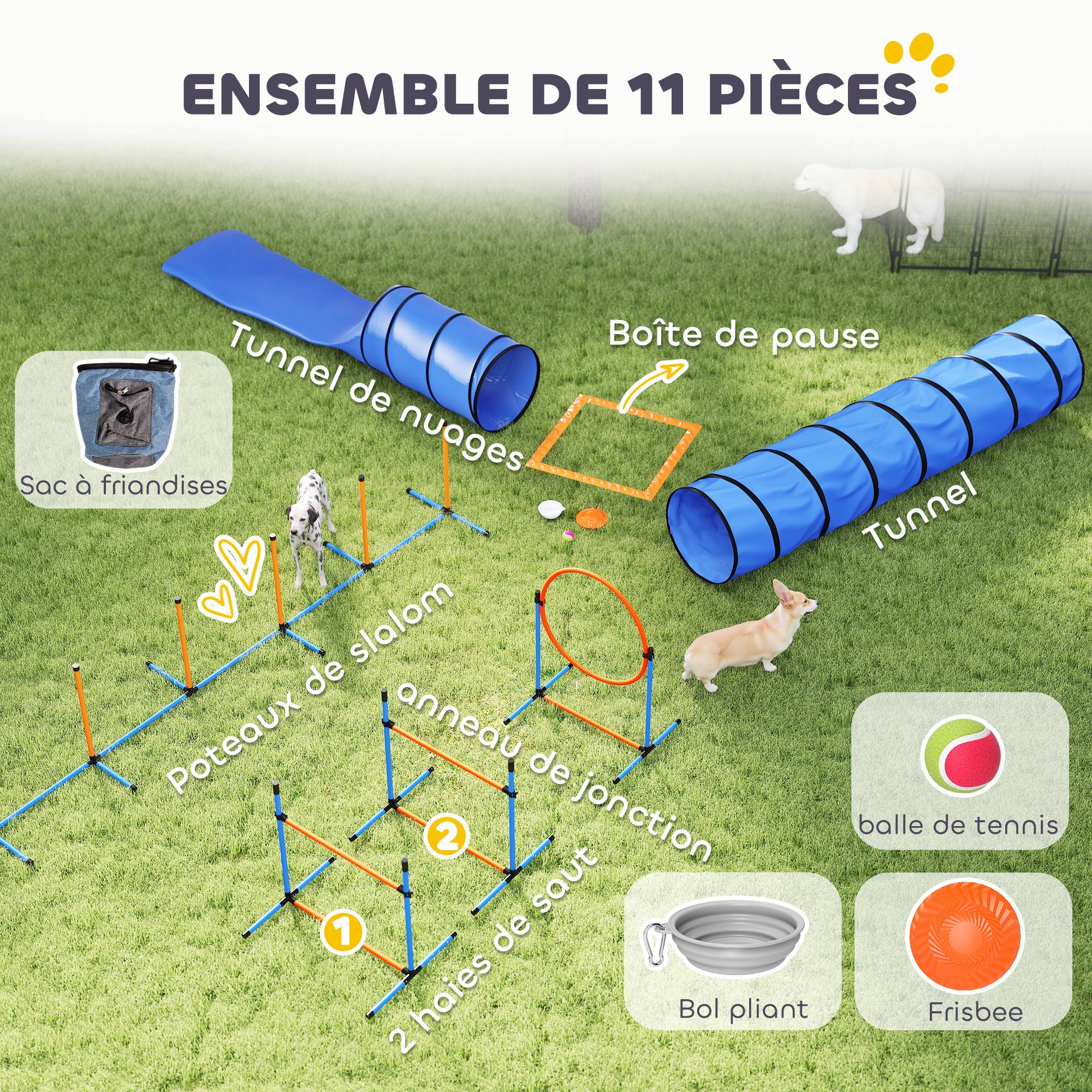 Kit d'agilité pour chien polyester et plastique orange et bleu 350 x 68 x 70 cm - PANGIVO - Image 6