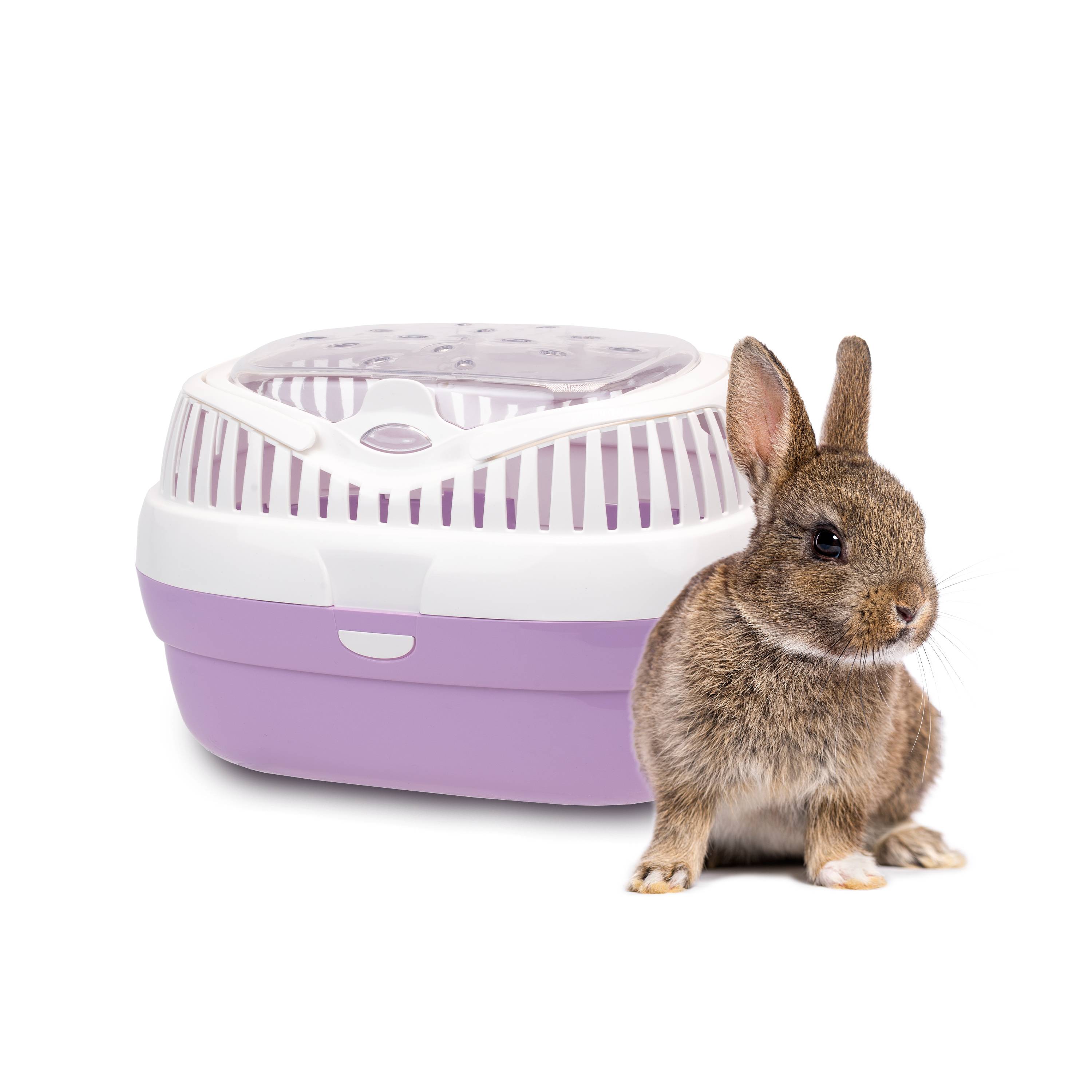 Ferplast - Ferplast Transport pour lapins, cochons d'inde et rats ALADINO LARGE Cage de transport pour animaux domestiques, rongeurs, lapins, plastique - Image 6