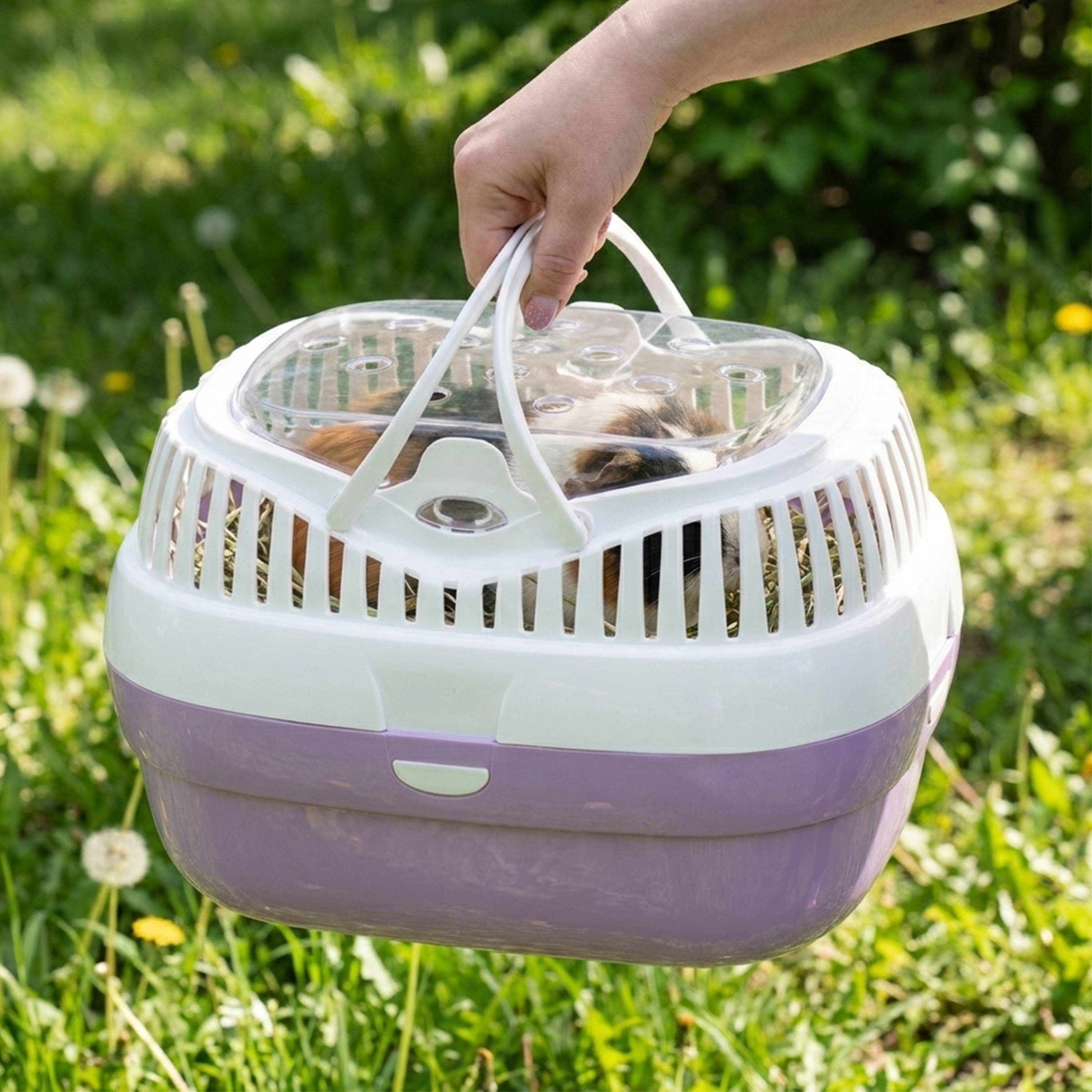 Ferplast - Ferplast Transport pour lapins, cochons d'inde et rats ALADINO LARGE Cage de transport pour animaux domestiques, rongeurs, lapins, plastique - Image 3