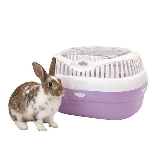 Ferplast - Ferplast Transport pour lapins, cochons d'inde et rats ALADINO LARGE Cage de transport pour animaux domestiques, rongeurs, lapins, plastique - Image 4