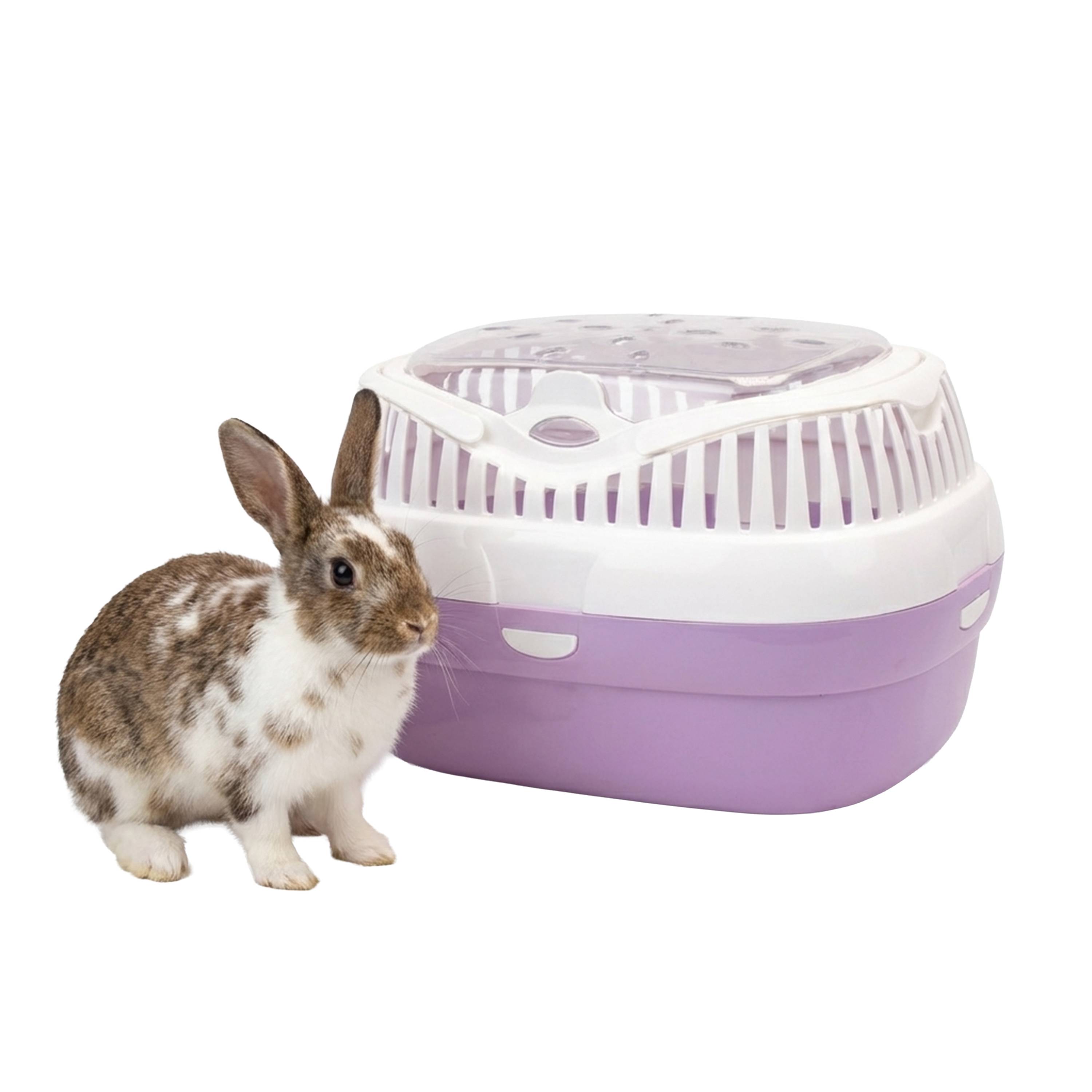 Ferplast - Ferplast Transport pour lapins, cochons d'inde et rats ALADINO LARGE Cage de transport pour animaux domestiques, rongeurs, lapins, plastique - Image 4