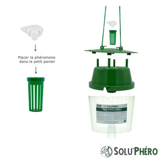 SOLUPHERO - 12 Piège a Phéromones Funnel Trap - Piège pour Papillons Lépidoptères - Usage Jardin Vergers - Sans Phéromone - Image 5
