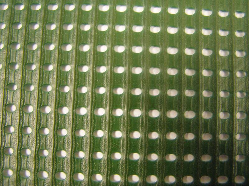 Brise-vent extrudé Vert 1m x 50m - Image 2