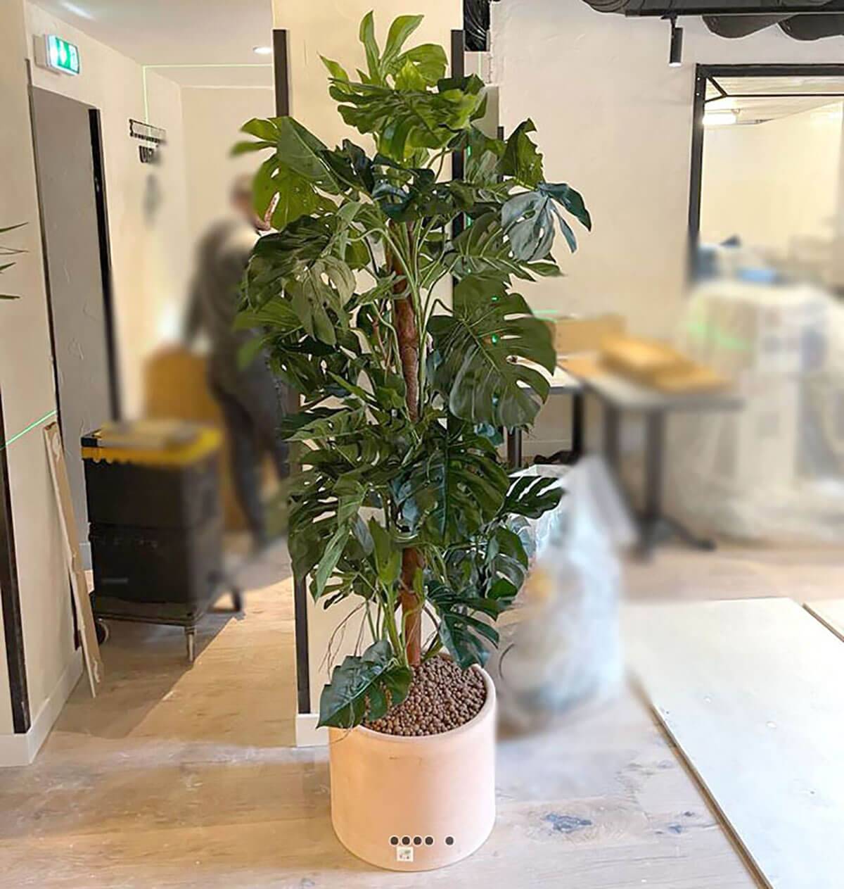Artificielles - Monstera artificiel sur pied, en pot, H 160 cm - dimhaut: H 160 cm - Image 2