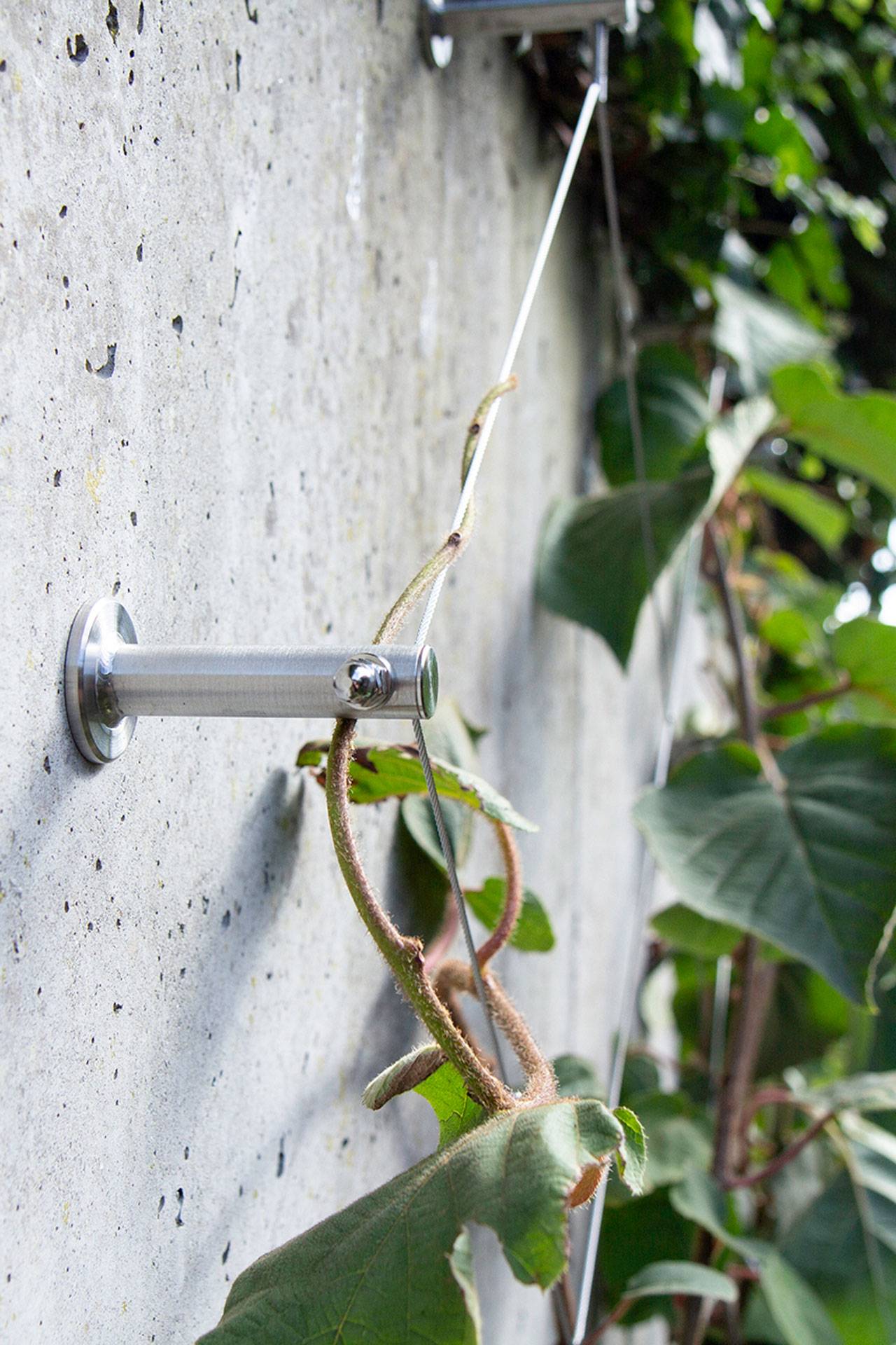 Autre - Support plantes grimpantes 2 positions treillis acier inoxydable Greenkit Net Jakob Rope Systems - Image 2